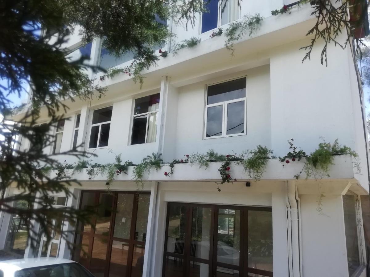 Tea Mount Forest Nuwara Eliya Exterior foto
